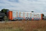 BNSF 302919